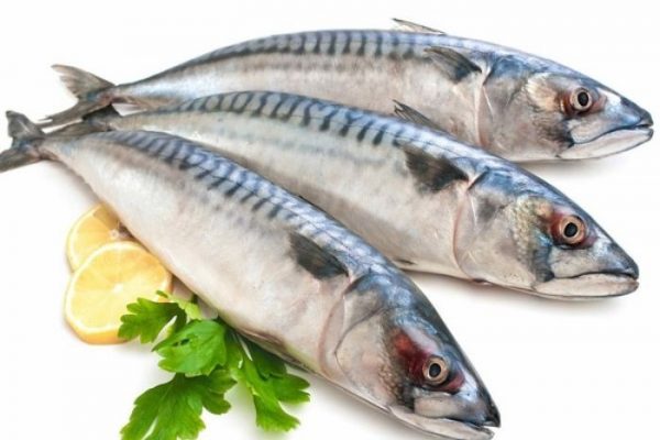 3 công thức cá nục kho dễ ăn và không tanh