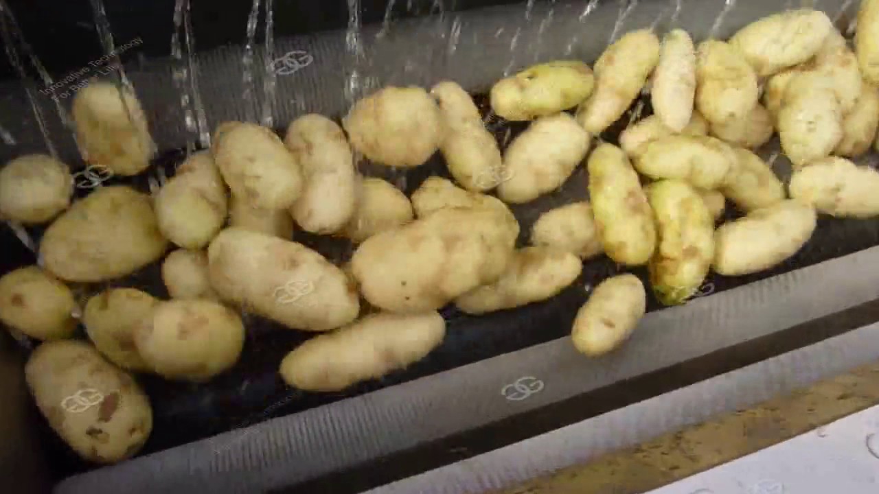 Rửa khoai tây nhanh bằng máy rửa bát